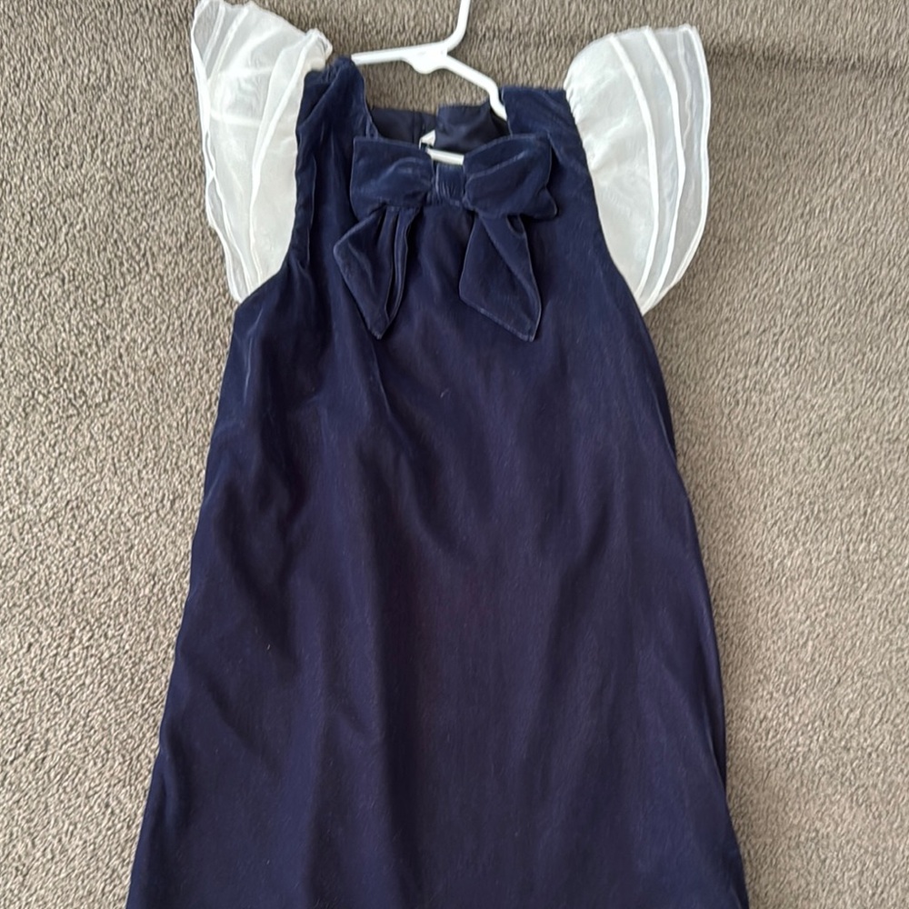 Janie and Jack Velvet Flutter Sleeve Dreas